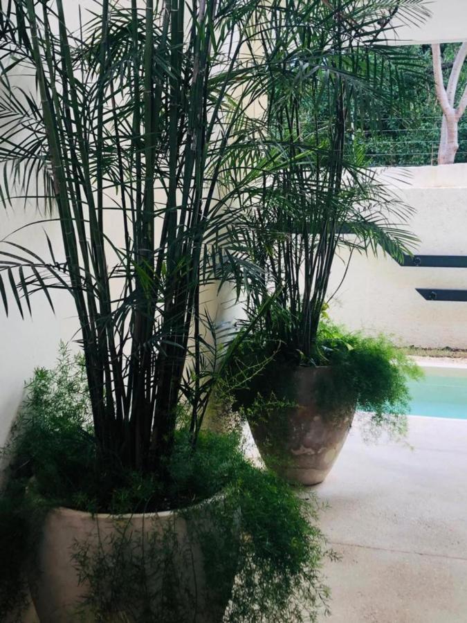 トゥルムCasa Leoアパートメント エクステリア 写真